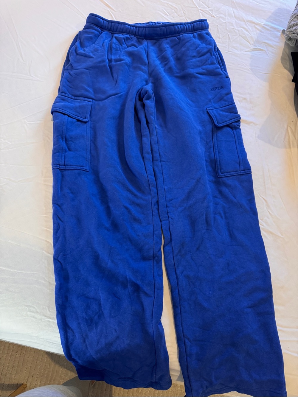 aritzia cargo sweatpants